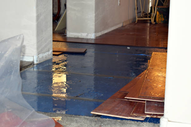 Professional Flood Damage Repair technician working in Palms, MI
